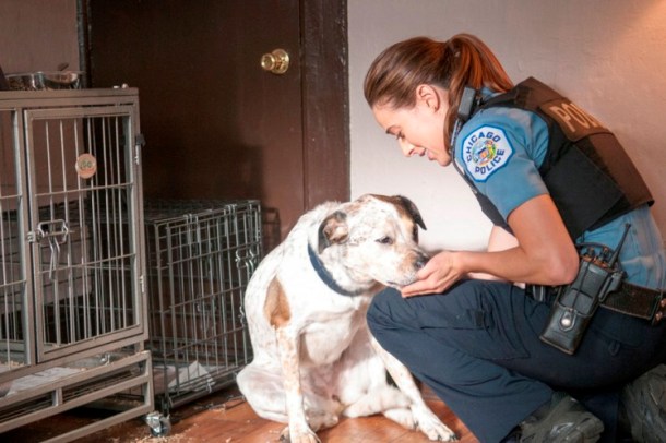 CHICAGO P.D. -- "Debts of the Past" Episode 304 -- Pictured: Marina Squerciati as Officer Kim Burgess  -- (Photo by: Matt Dinerstein/NBC)