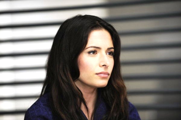 Sarah Shahi in Fairly Legal