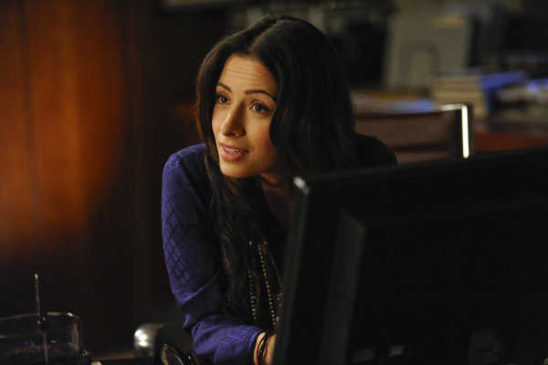 Sarah Shahi in Fairly Legal