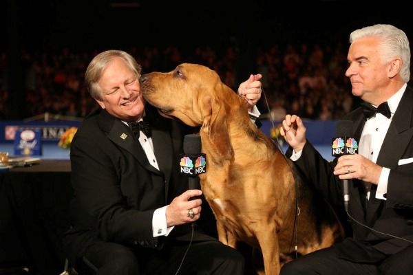 THE NATIONAL DOG SHOW PRESENTED BY PURINA -- 2015 -- Pictured: (l-r) Host David Frei, 2014 winner Nathan the bloodhound, host John O'Hurley -- (Photo by: Bill McCay/NBC)