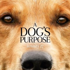 A Dog’s Purpose and xXx: Return of Xander Cage (A PopEntertainment Movie&nbsp;Review)
