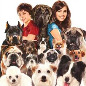 Hotel For Dogs (A PopEntertainment.com Movie&nbsp;Review)