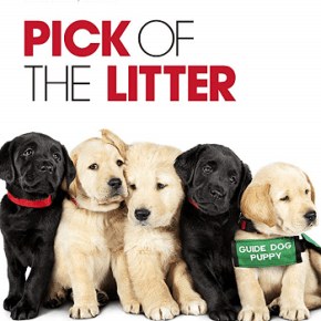 Pick of the Litter (A PopEntertainment.com Movie&nbsp;Review)