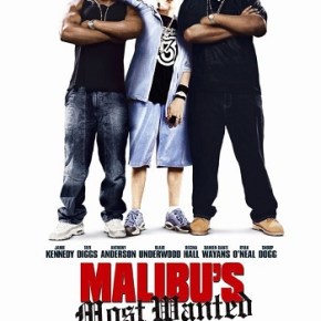 Malibu’s Most Wanted (A PopEntertainment.com Movie&nbsp;Review)