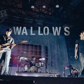 Wallows – The Baycare Sound – Clearwater (A PopEntertainment.com Concert&nbsp;Review)