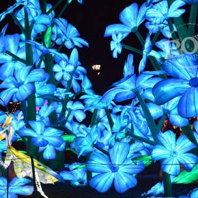 A Symphony of Color:Chinese Lantern Festival Lights Up Franklin Square Once&nbsp;More