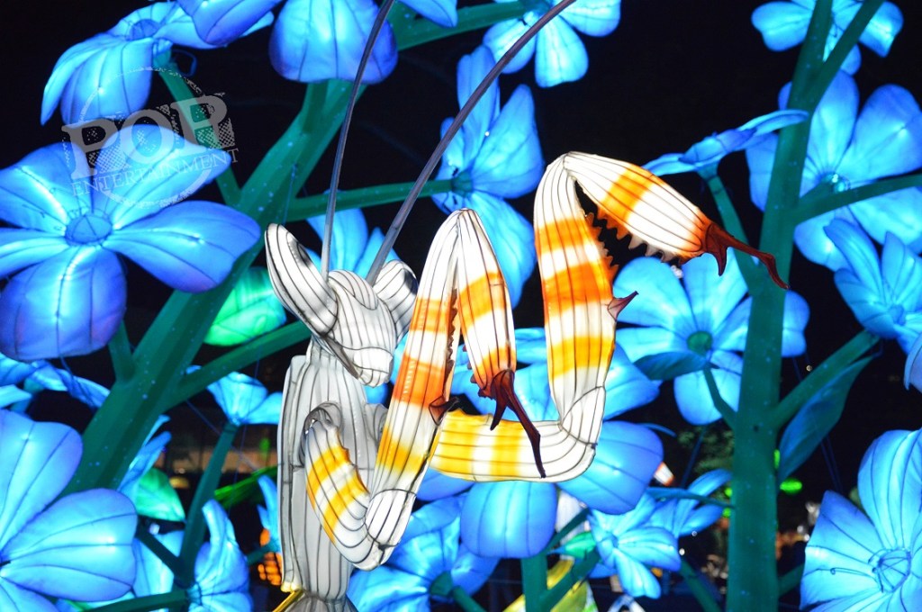 Philadelphia's Chinese Lantern Festival at Franklin Square